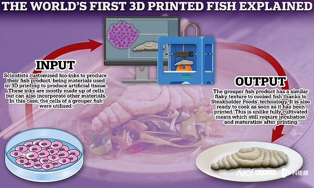 以色列推出世界首款3D打印石斑鱼片，美味如真鱼，即将上市